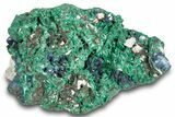 Lustrous Azurite Crystals with Fibrous Malachite - China #259662-1